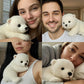 🔥El Polar Pal ——El peluche que te tranquiliza en segundos