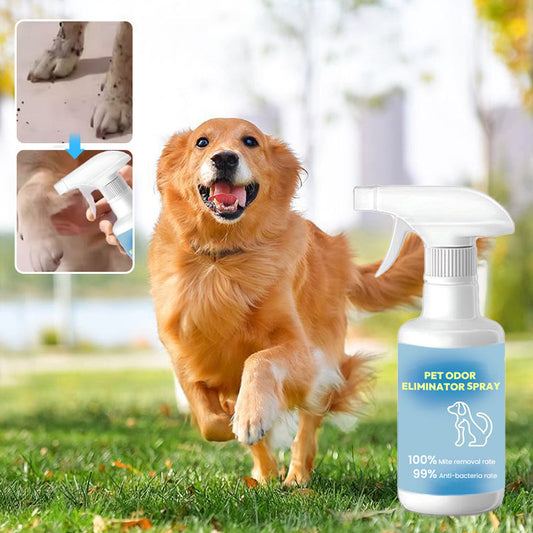 🐱🐶Spray eliminador de olores para mascotas🍃